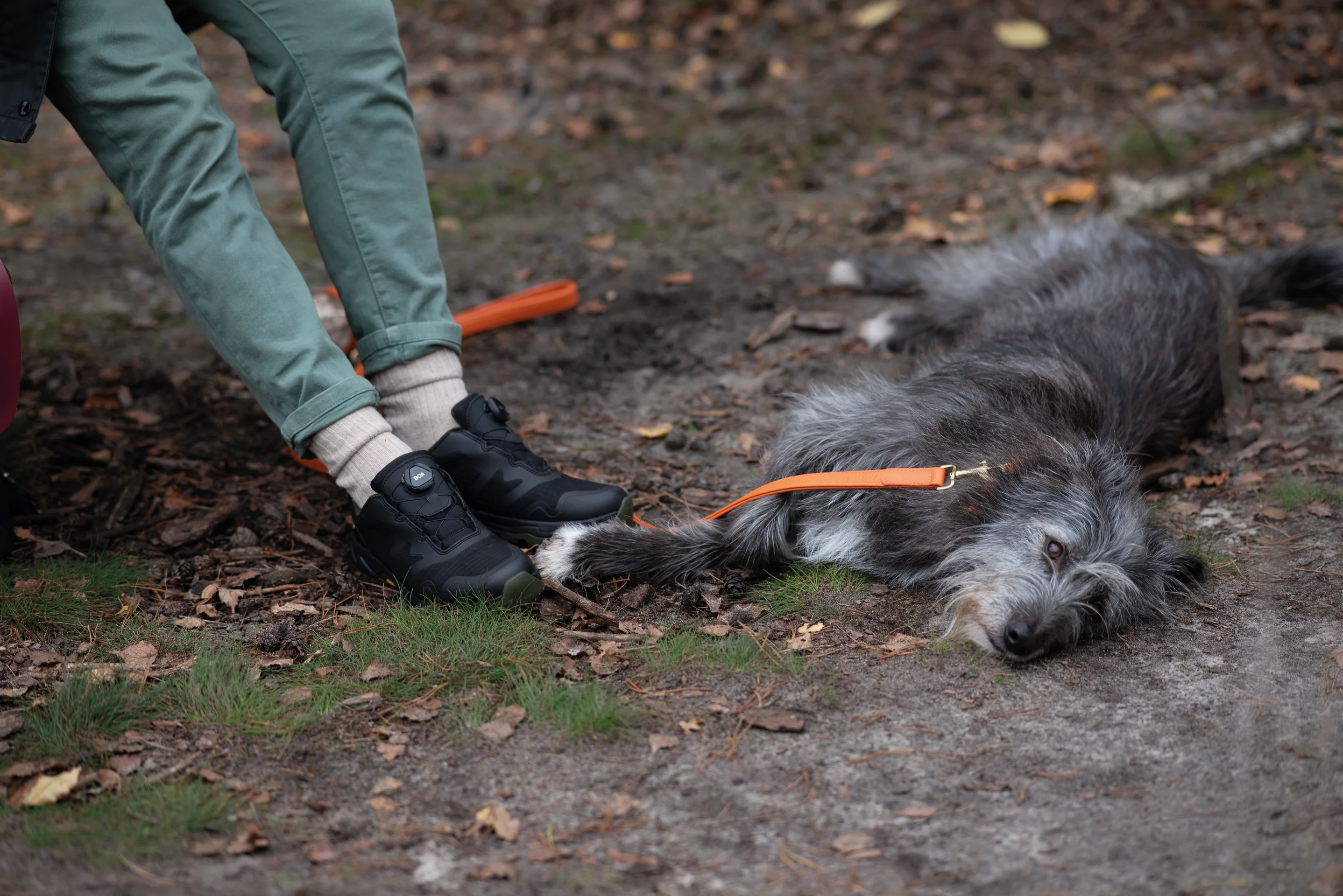 Milow DogWalker® Halbschuh