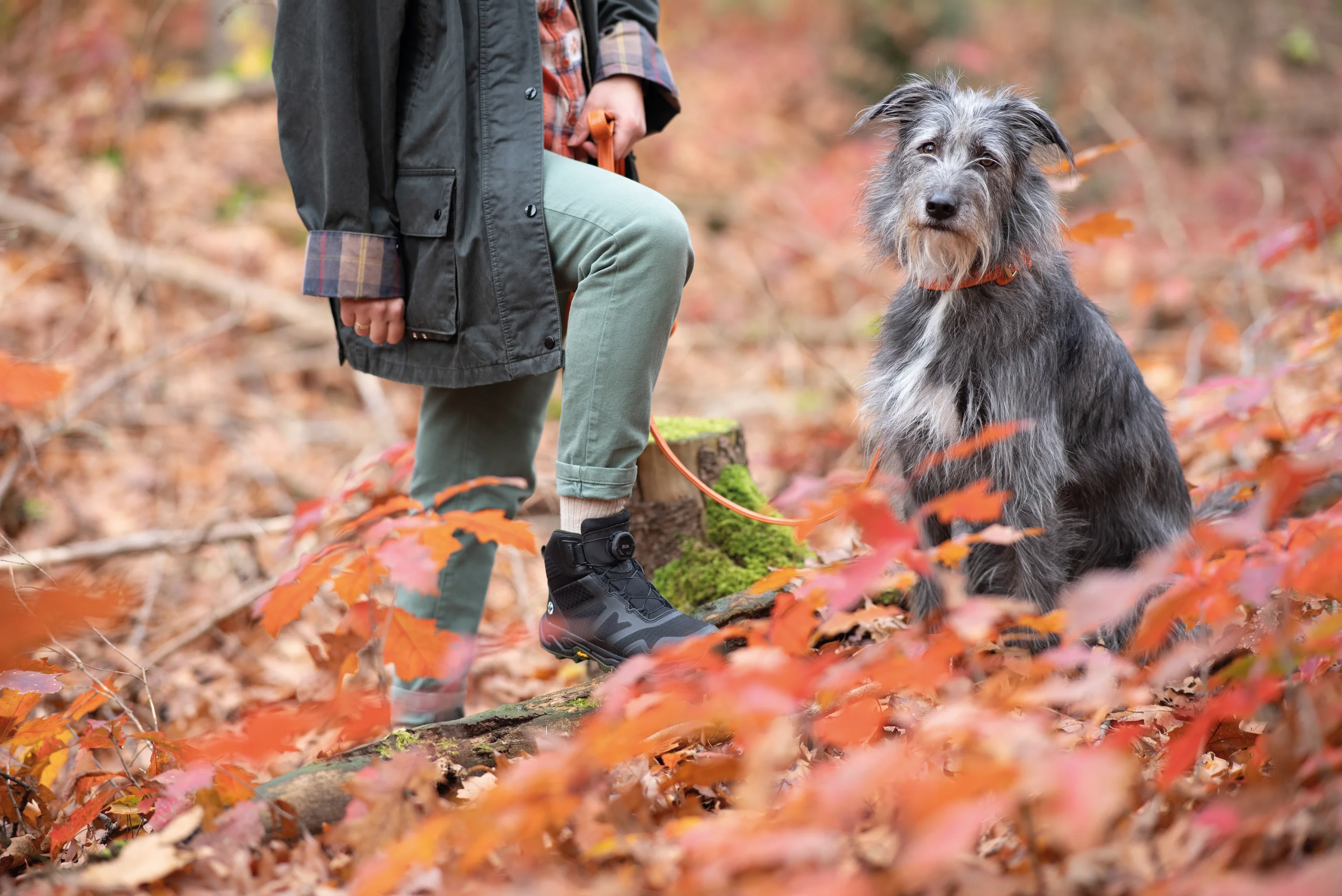 Balu DogWalker® Stiefel