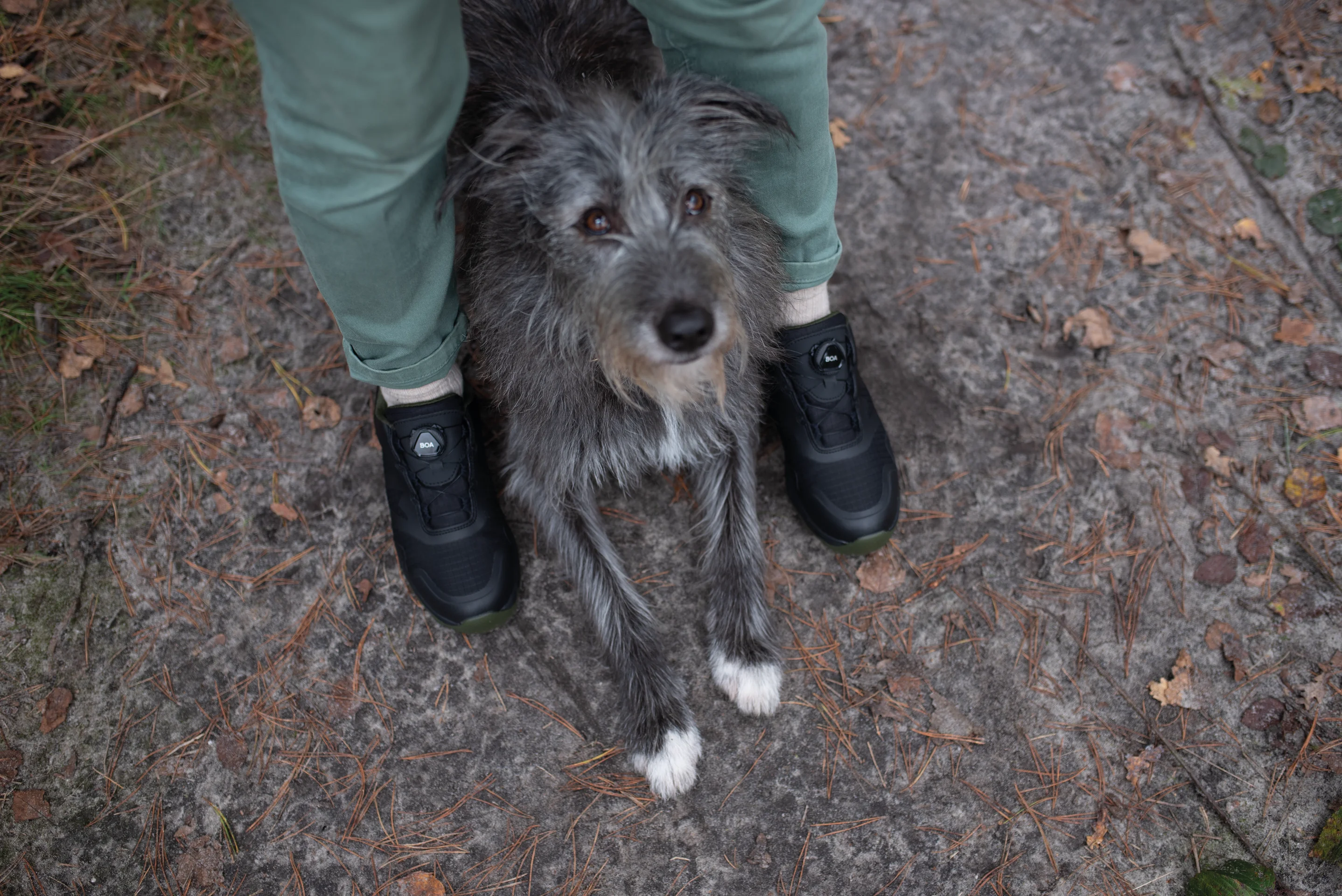 Milow DogWalker® Halbschuh