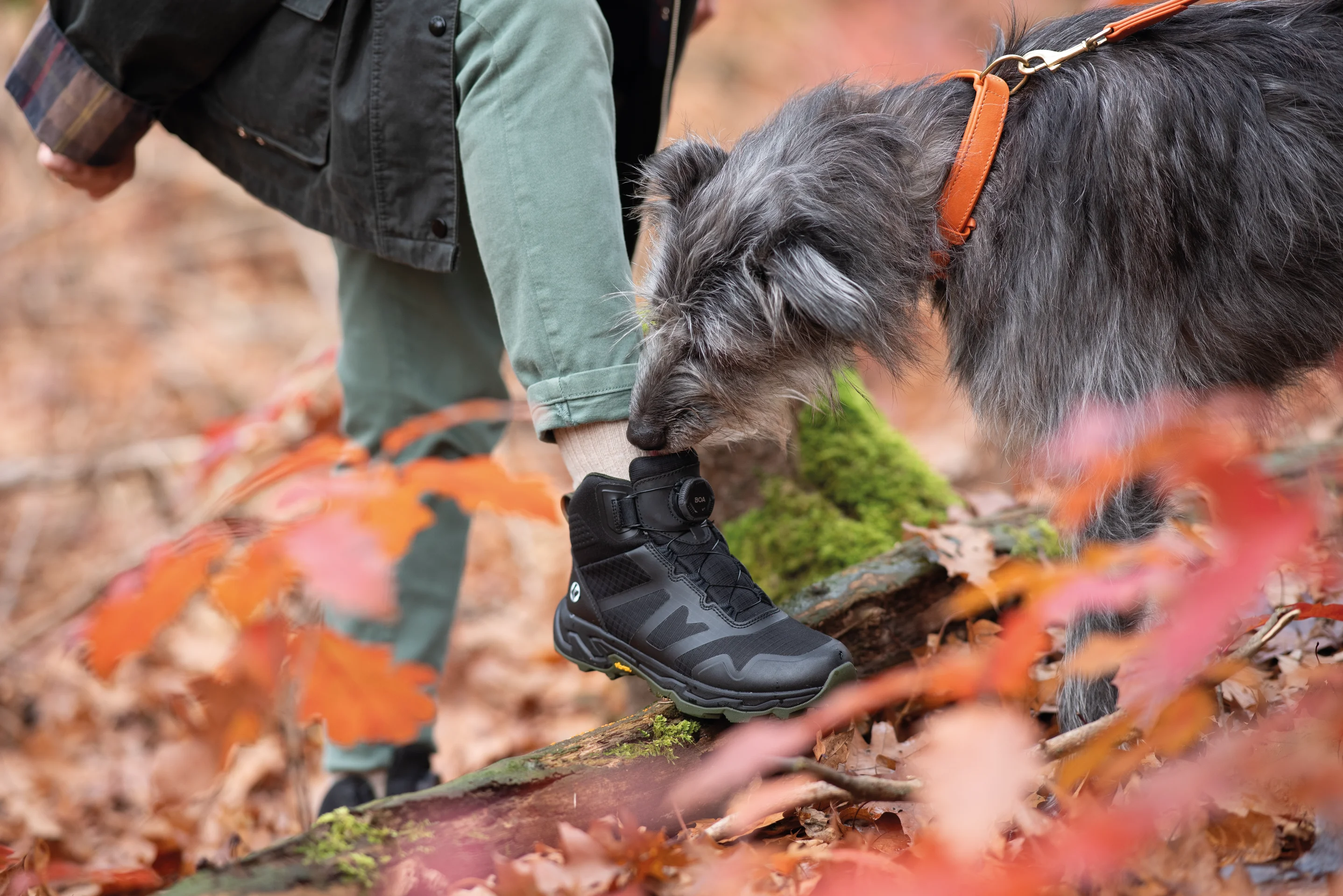 Balu DogWalker® Stiefel