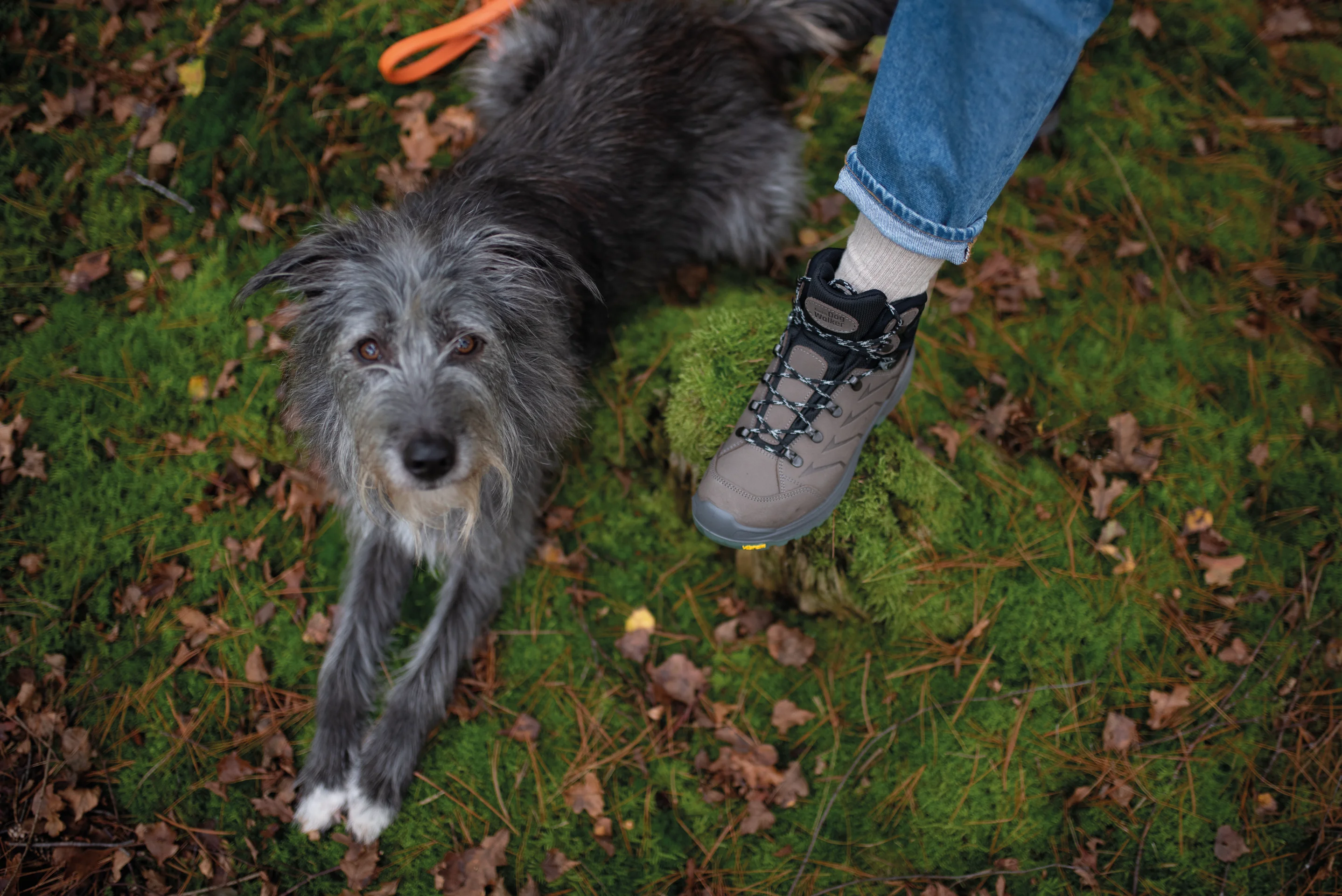 Amy DogWalker® Stiefel