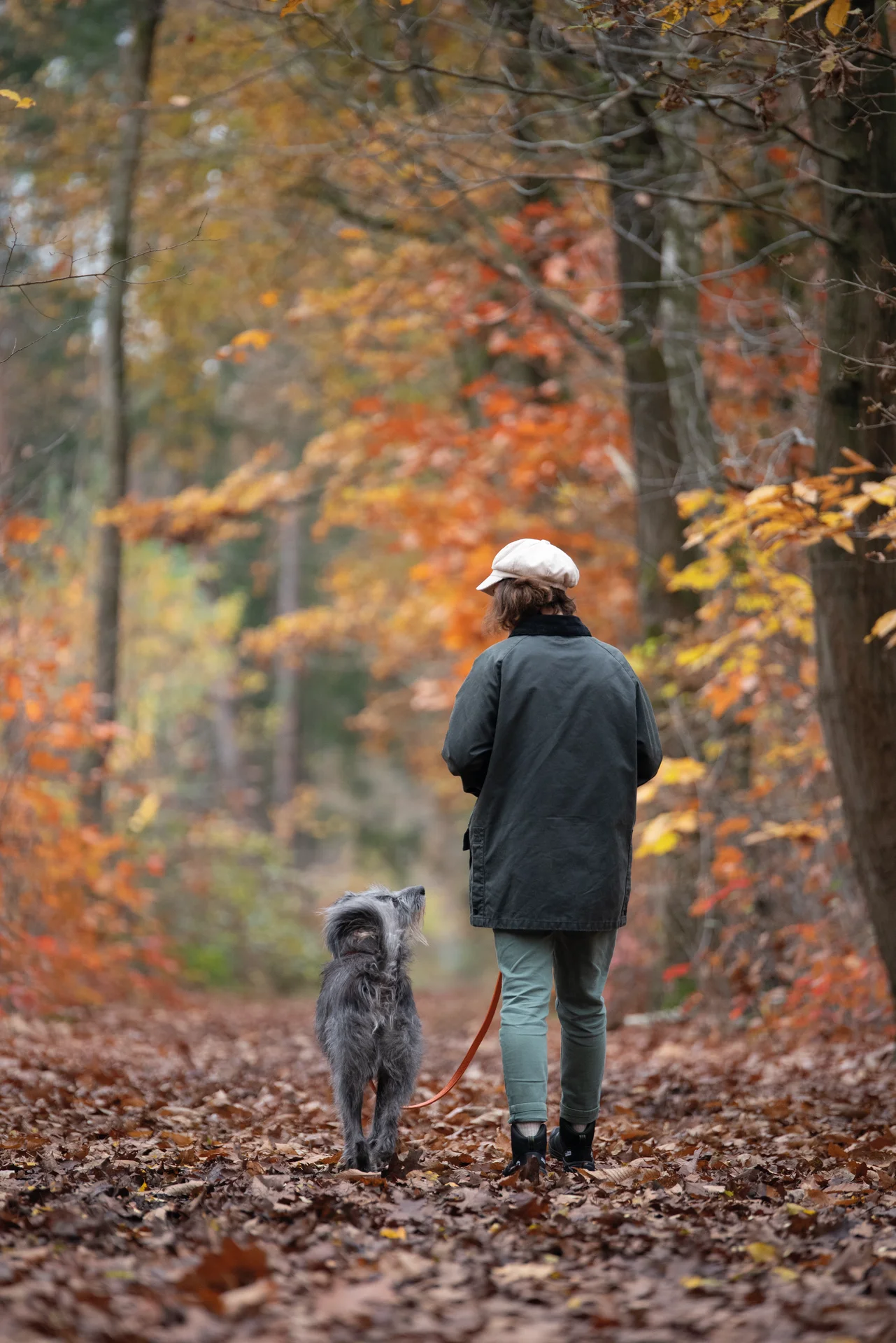 Balu DogWalker® Stiefel