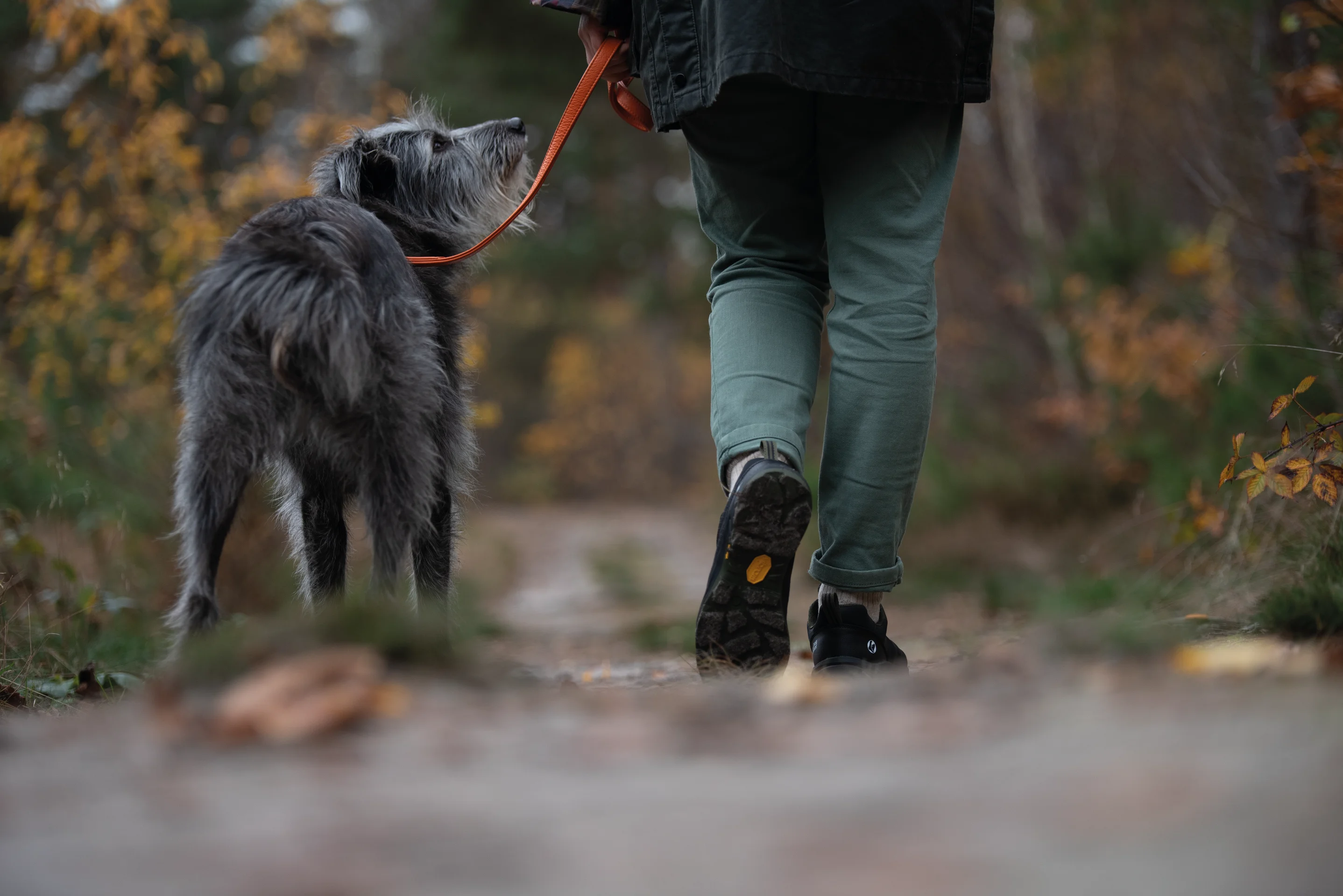 Milow DogWalker® Halbschuh